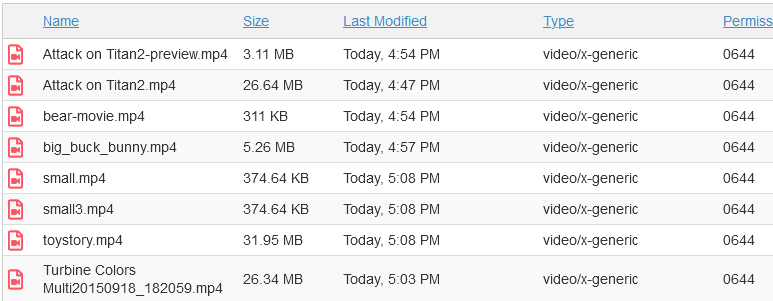 V4 contents of Video clips mp4