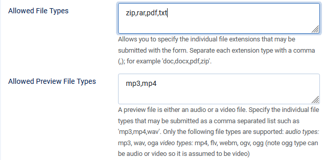 V4 allowed file types01